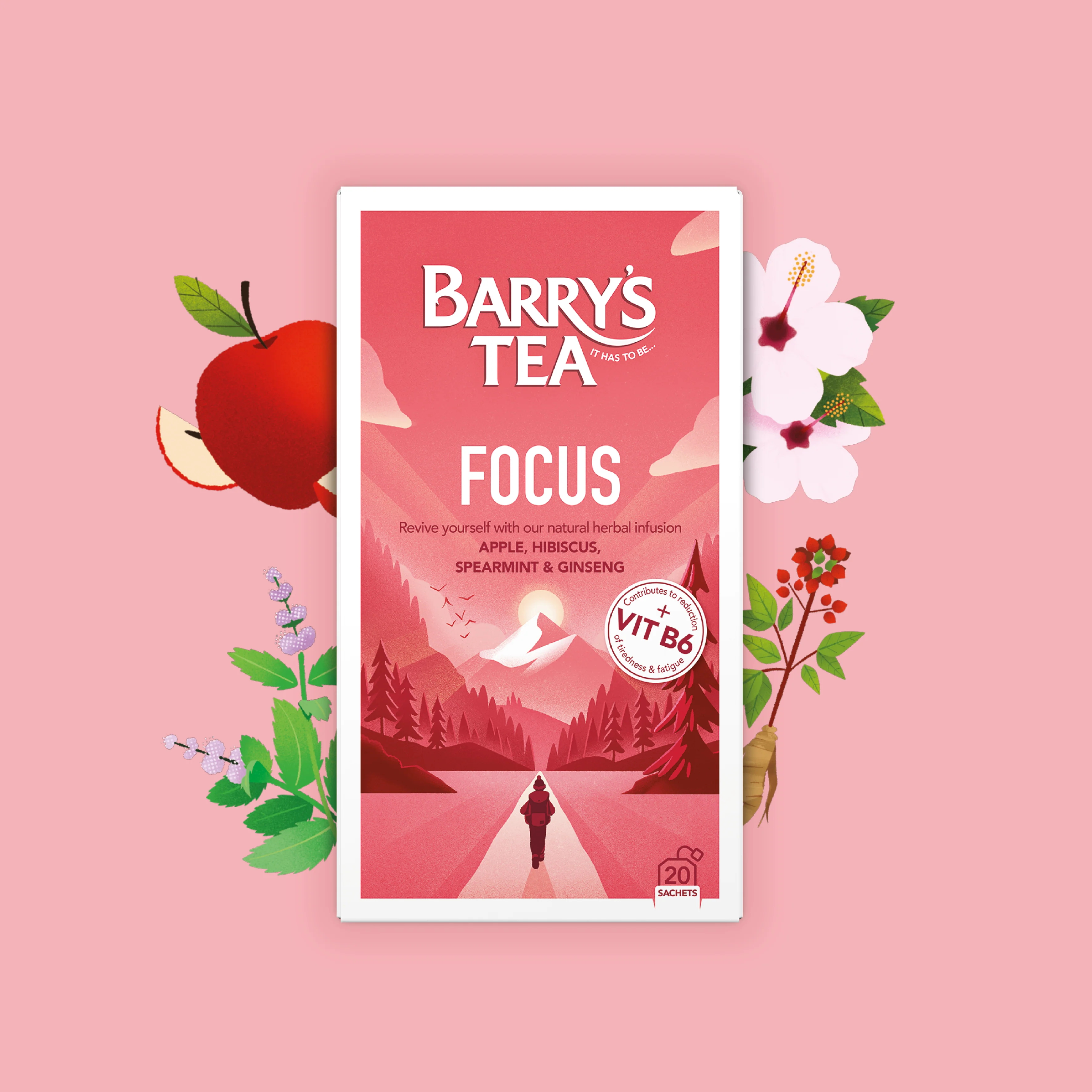FOCUS 20 TEABAGS - Image 3