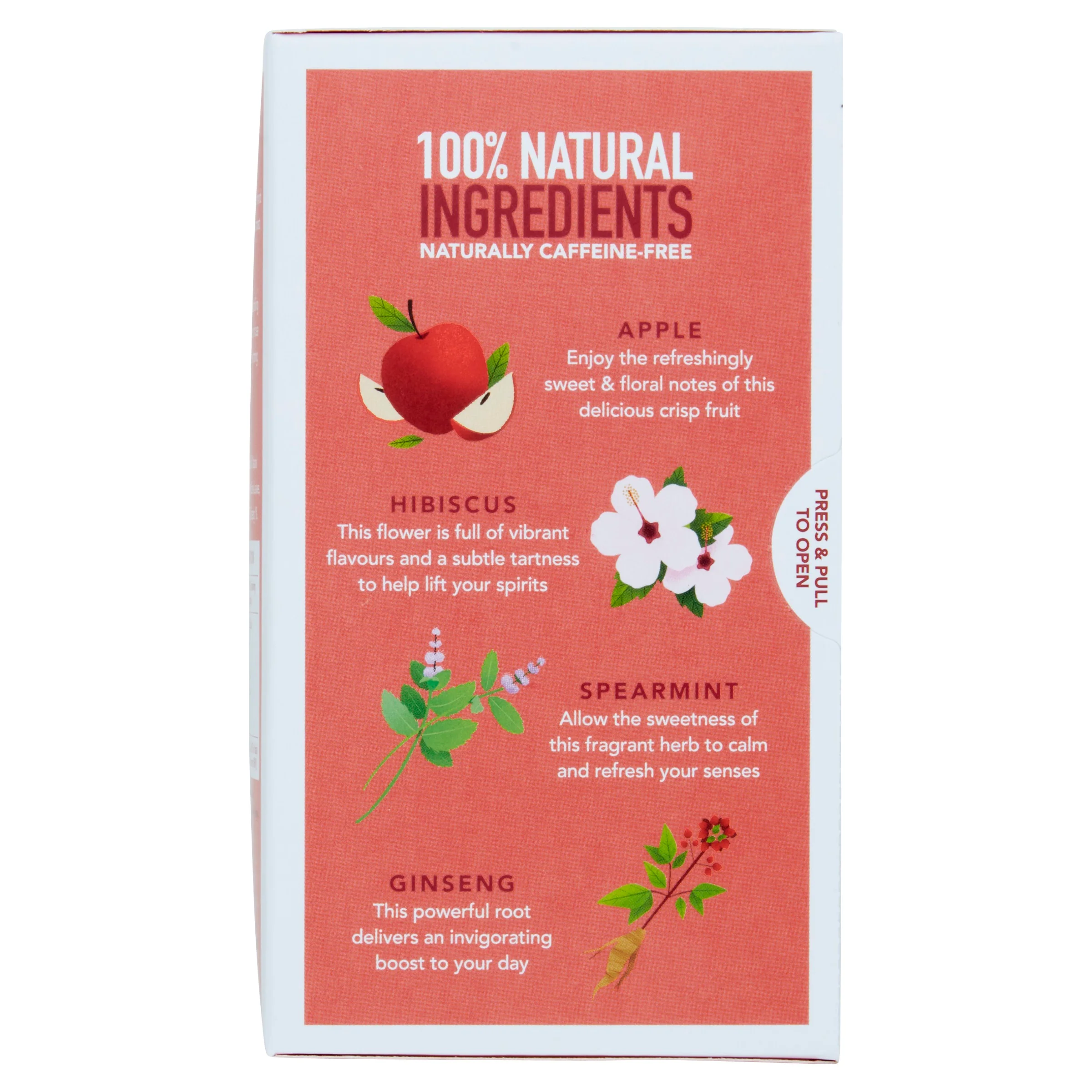 FOCUS 20 TEABAGS - Image 4