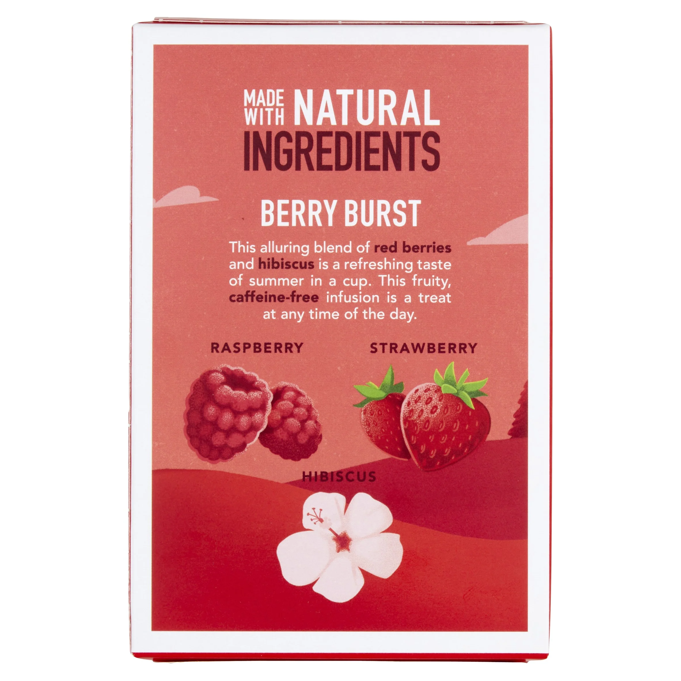 BERRY BURST 20 TEABAGS - Image 3